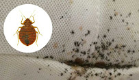 Bug Less Pest LLC - Photo 7 - Car repair in , South Lyon