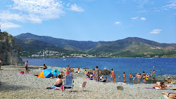 Photo de Platja del Pas et le règlement
