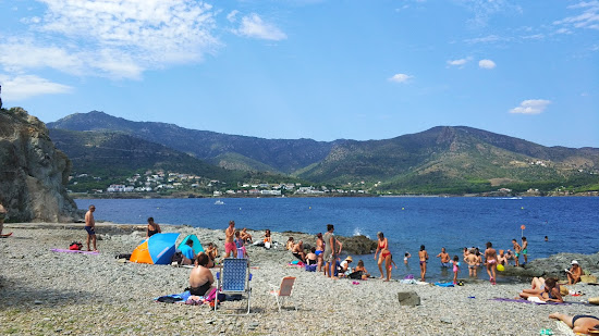Platja del Pas