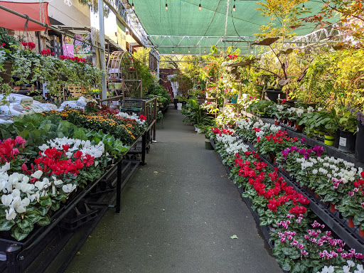 Hardware Store «Downtown Walnut Creek Ace Hardware», reviews and photos, 2044 Mt Diablo Blvd, Walnut Creek, CA 94596, USA