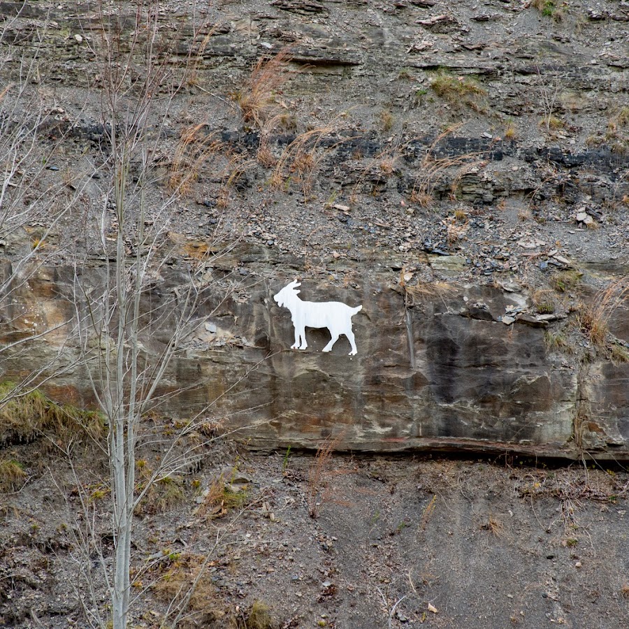 The Summersville Goat