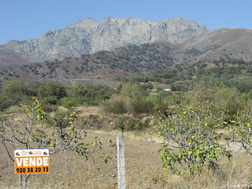 Fin&Cas Servicios Inmobiliarios. en Candeleda