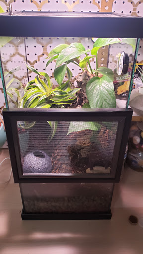 Reptile Store «La Habra Pets», reviews and photos, 1919 W La Habra Blvd, La Habra, CA 90631, USA