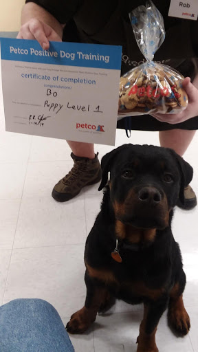 Pet Supply Store «Petco Animal Supplies», reviews and photos, 760 Queen St, Southington, CT 06489, USA