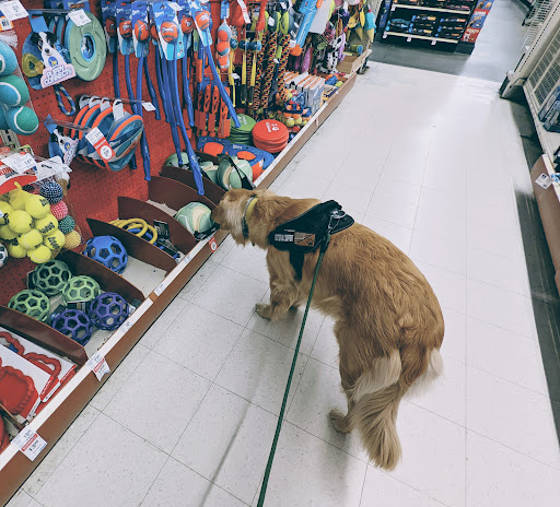Pet Supply Store «PetSmart», reviews and photos, 1276 Bald Hill Rd, Warwick, RI 02886, USA