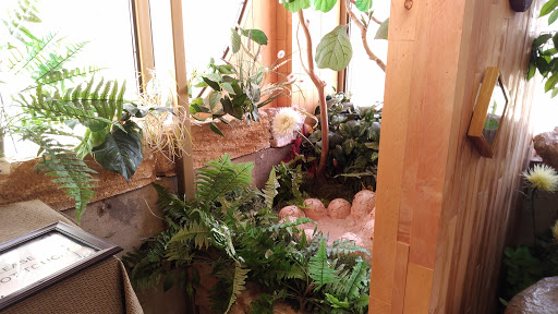 Museum «Creation Evidence Museum», reviews and photos, 3102 FM 205, Glen Rose, TX 76043, USA