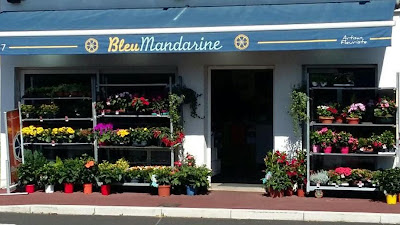 Bleu Mandarine à Dax