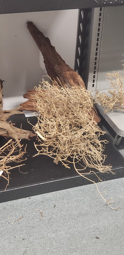 Pet Store «Laconia Pet Center», reviews and photos, 1343 Union Ave, Laconia, NH 03246, USA