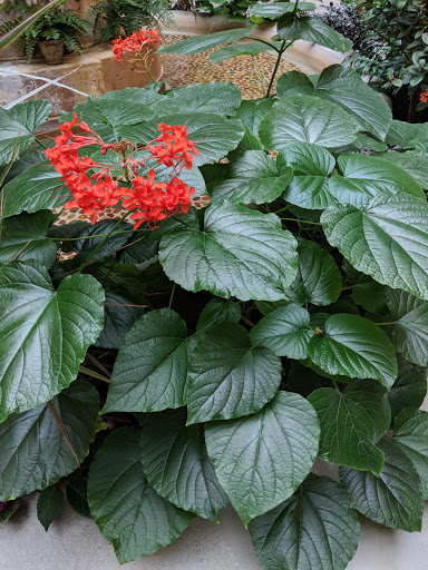 Art Museum «National Gallery of Art», reviews and photos, 6th & Constitution Ave NW, Washington, DC 20565, USA