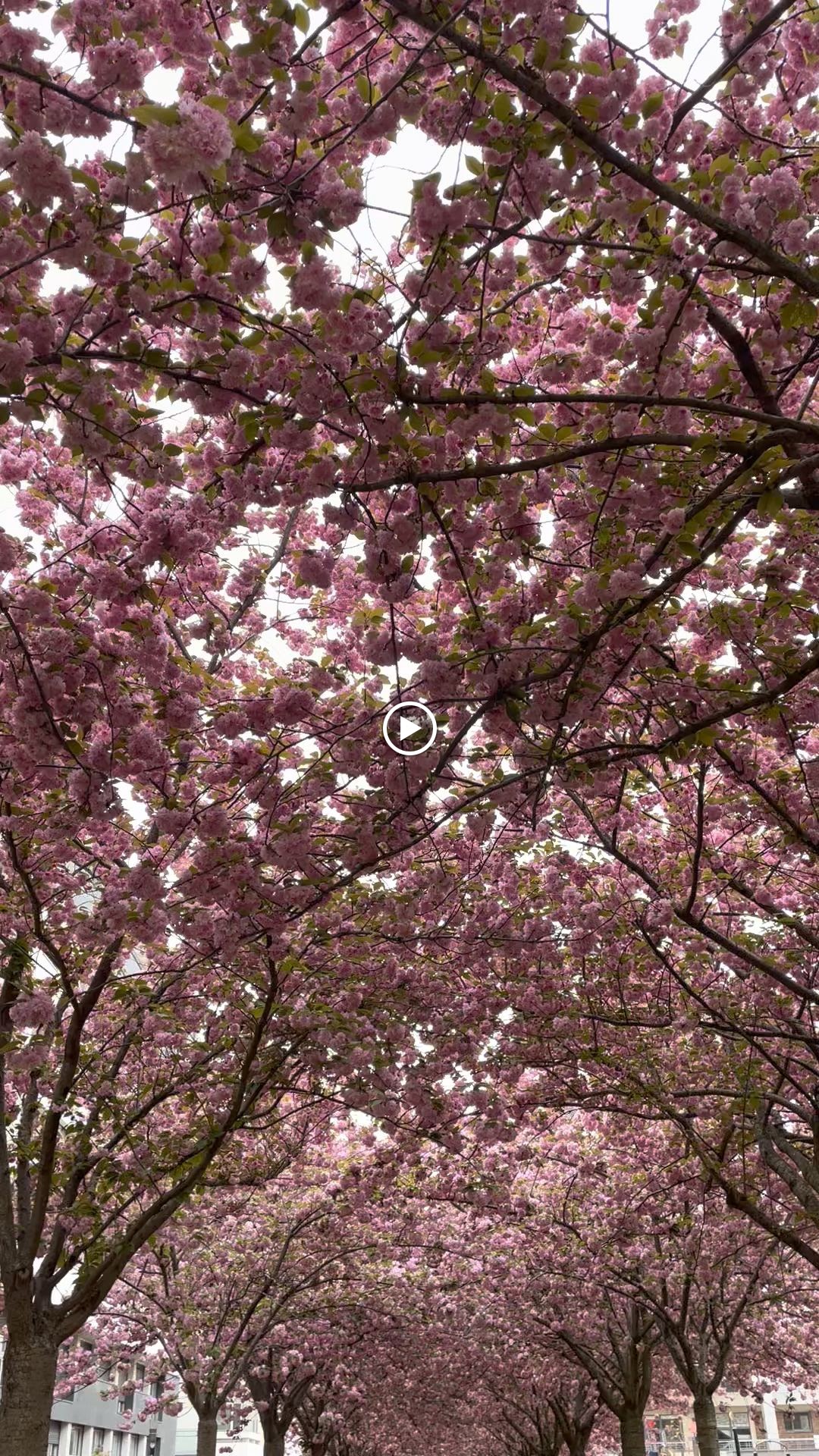 Photo n° 1 de l'avis de Sushmita.a fait le 12/04/2023 à 07:45