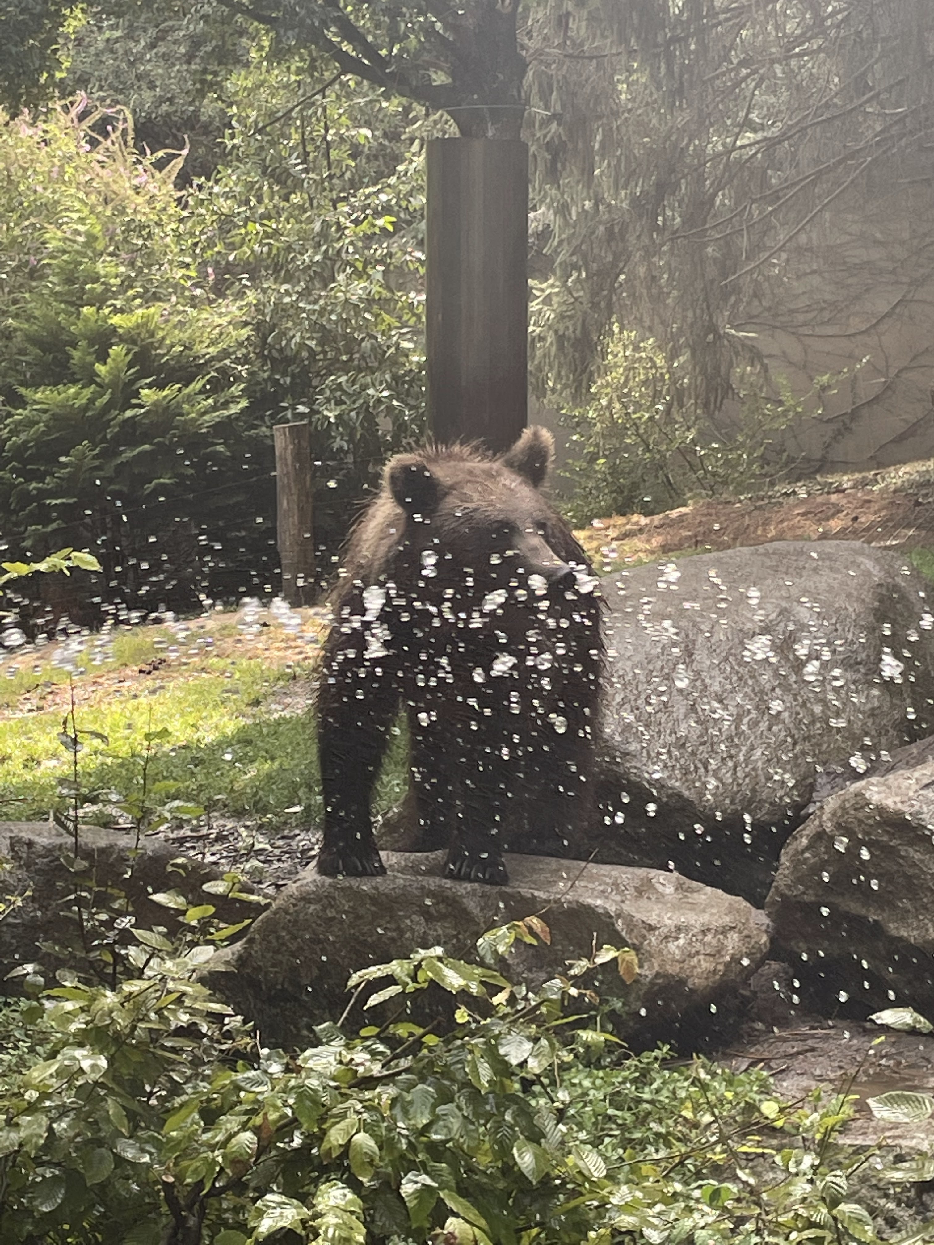 Photo n° 1 de l'avis de Gregory.G fait le 01/08/2022 à 10:31