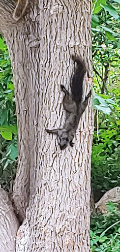 Museum «Miramont Castle Museum», reviews and photos, 9 Capitol Hill Ave, Manitou Springs, CO 80829, USA