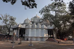 Sree Sree Chinishpur Kali Mandir image