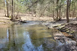 Schodack Town Park image