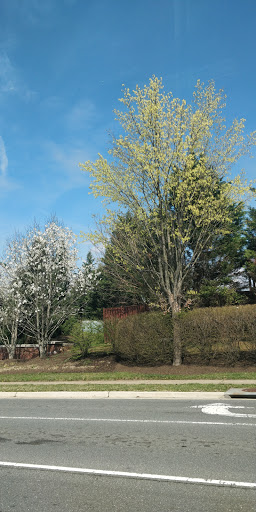 Ski Shop «Alpine Ski Shop Sterling», reviews and photos, 21999 Shaw Rd, Sterling, VA 20164, USA