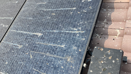 Zoe Solar and Window Cleaning
