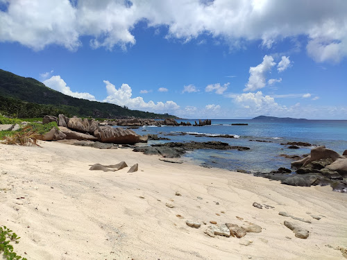 Grand l'Anse Beach photo #2