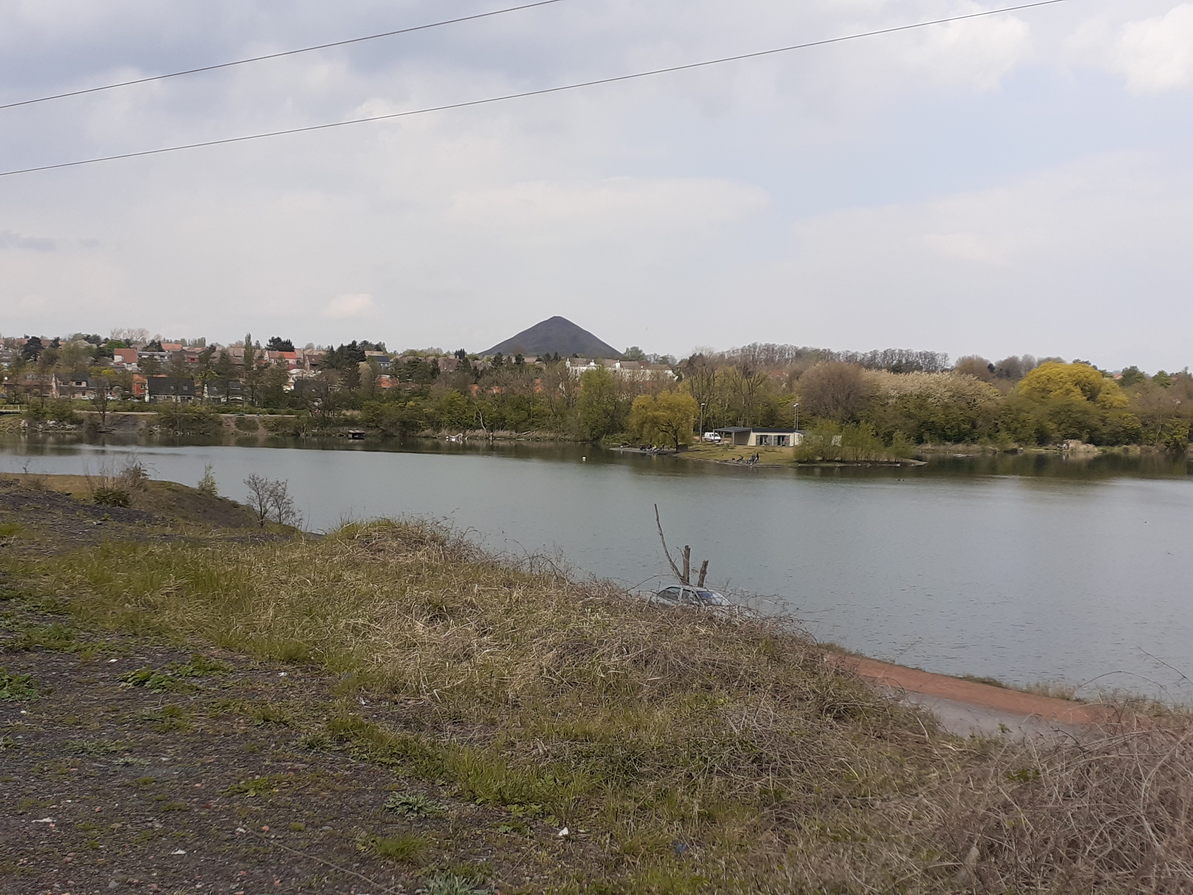 Photo n° 13 de l'avis de Laurence.e fait le 30/04/2021 à 14:23