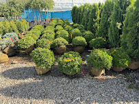 Nature's Landscape Supply - Photo 6 - Car repair in Louisville, KY, Louisville