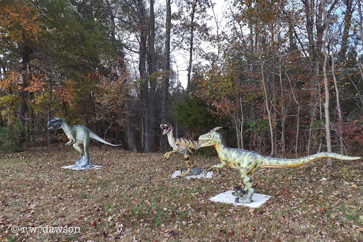 Cigar Shop «Border Store», reviews and photos, 4240 James Madison Pkwy, King George, VA 22485, USA