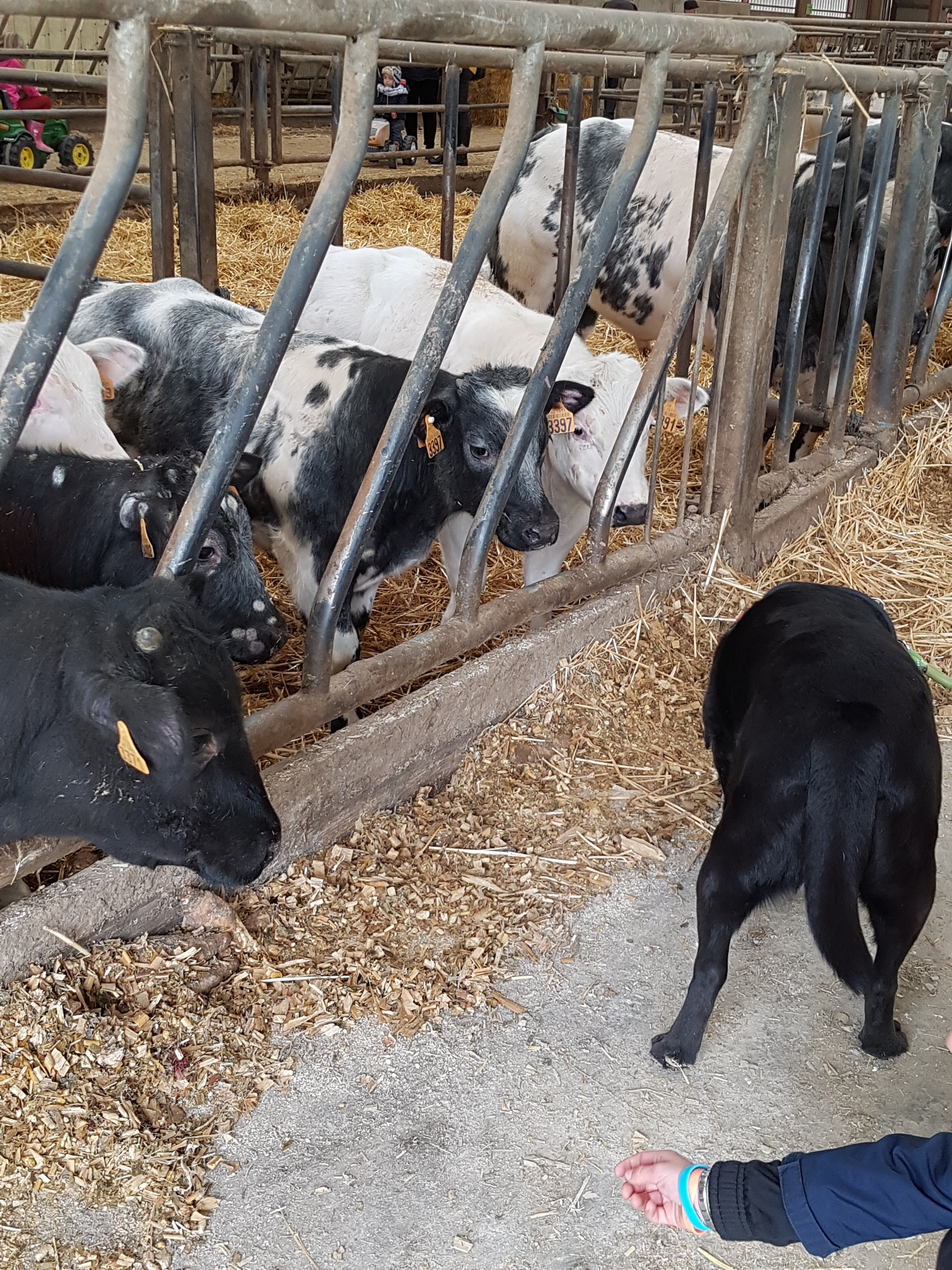 Photo n° 35 de l'avis de Alicia.P fait le 28/04/2019 à 13:27