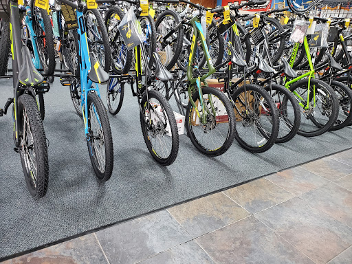 Bicycle Store «Fort Myers Cyclery - Schwinn GT Jamis Colnago», reviews and photos, 3630 S Cleveland Ave, Fort Myers, FL 33901, USA