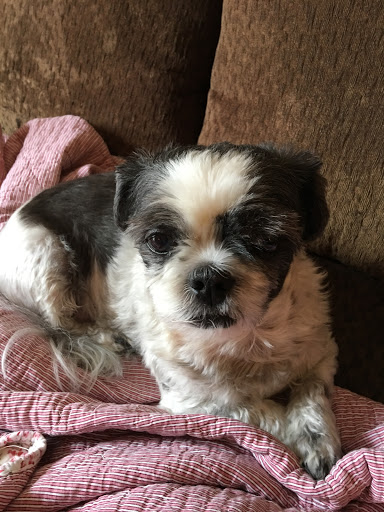 8526 Preston Hwy, Okolona, KY 40219, USA