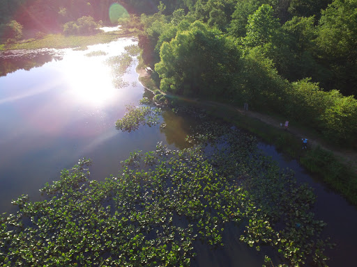 Nature Preserve «Governor Bridge Natural Area», reviews and photos, 7600 Governor Bridge Rd, Bowie, MD 20716, USA