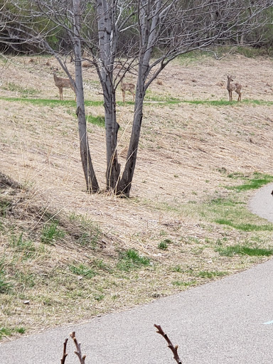 Park «North Mississippi Regional Park», reviews and photos, 4900 Mississippi Ct, Minneapolis, MN 55430, USA