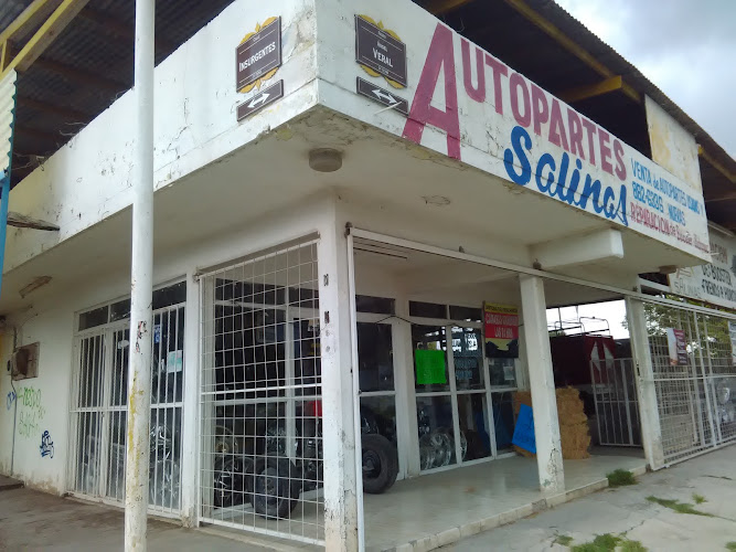 Autopartes Salinas