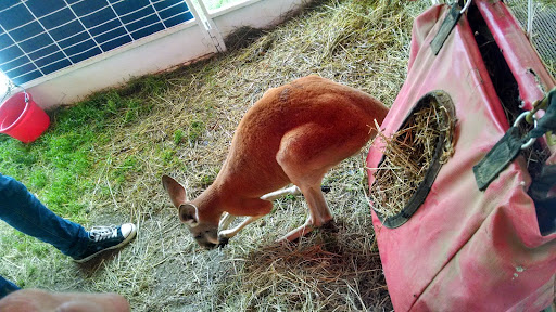 Zoo «Petting Zoo», reviews and photos, 1205 E 33rd St, Des Moines, IA 50317, USA