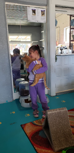 Thrift Store «Alpine Humane Society Thrift Store», reviews and photos, 706 N 5th St, Alpine, TX 79830, USA