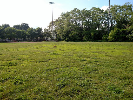 Park «ROGERS PARK», reviews and photos, 30 Rogers Park Ave, Boston, MA 02135, USA