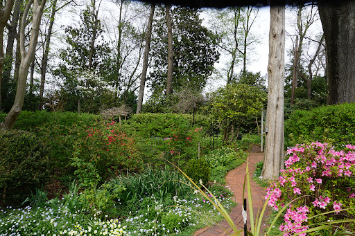 Garden «Wing Haven», reviews and photos, 248 Ridgewood Ave, Charlotte, NC 28209, USA