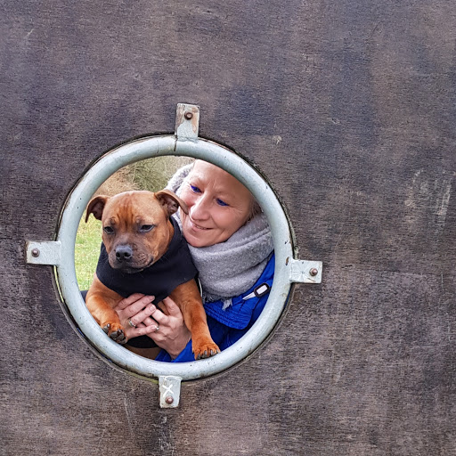 Tierarzt Dr. Wehlitz unter Torgau, Sachsen