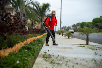 Gentry Commercial Landscape Maintenance Orange County - Photo 2 - Car repair in Brea, CA, Anaheim