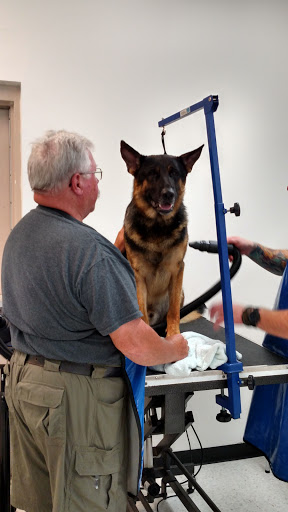 Pet Supply Store «Healthy Pet Center», reviews and photos, 775 New Loudon Rd, Latham, NY 12110, USA