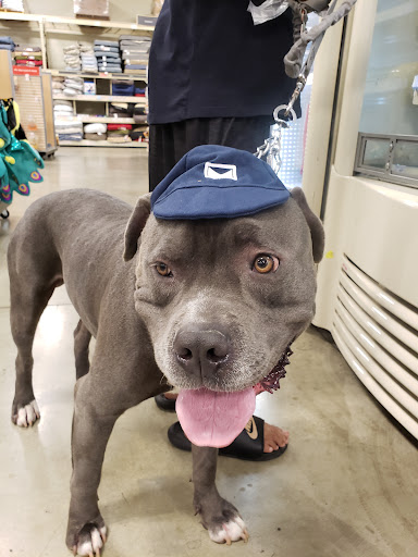 Pet Supply Store «PetSmart», reviews and photos, 2140 17th St, Santa Ana, CA 92705, USA