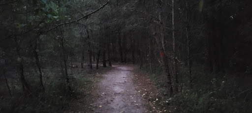 Nature Preserve «Maurice River Bluffs Preserve», reviews and photos, Silver Run Rd, Millville, NJ 08332, USA