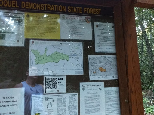 Soquel Demonstration State Forest image