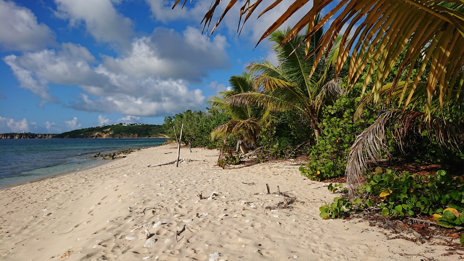 Fotografija Katouche Bay beach z prostorna obala