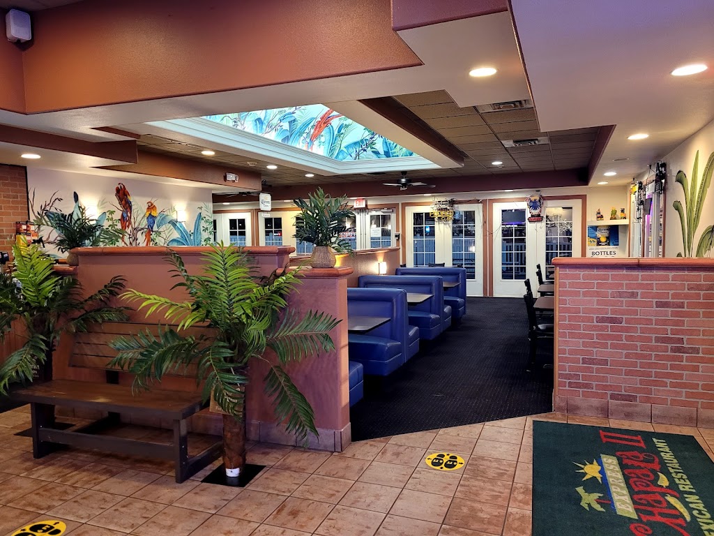 Chapala Express 2 99336