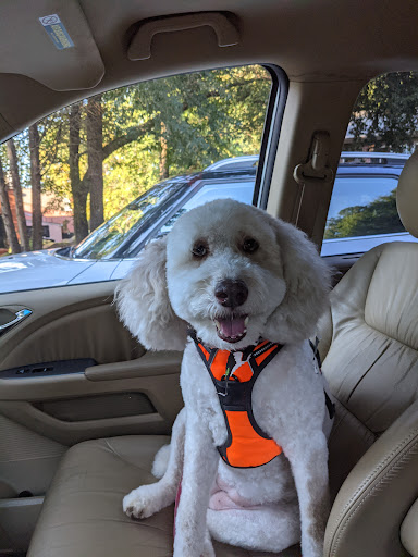 Pet Groomer «U Dirty Dog», reviews and photos, 232 Stevens Entry, Peachtree City, GA 30269, USA