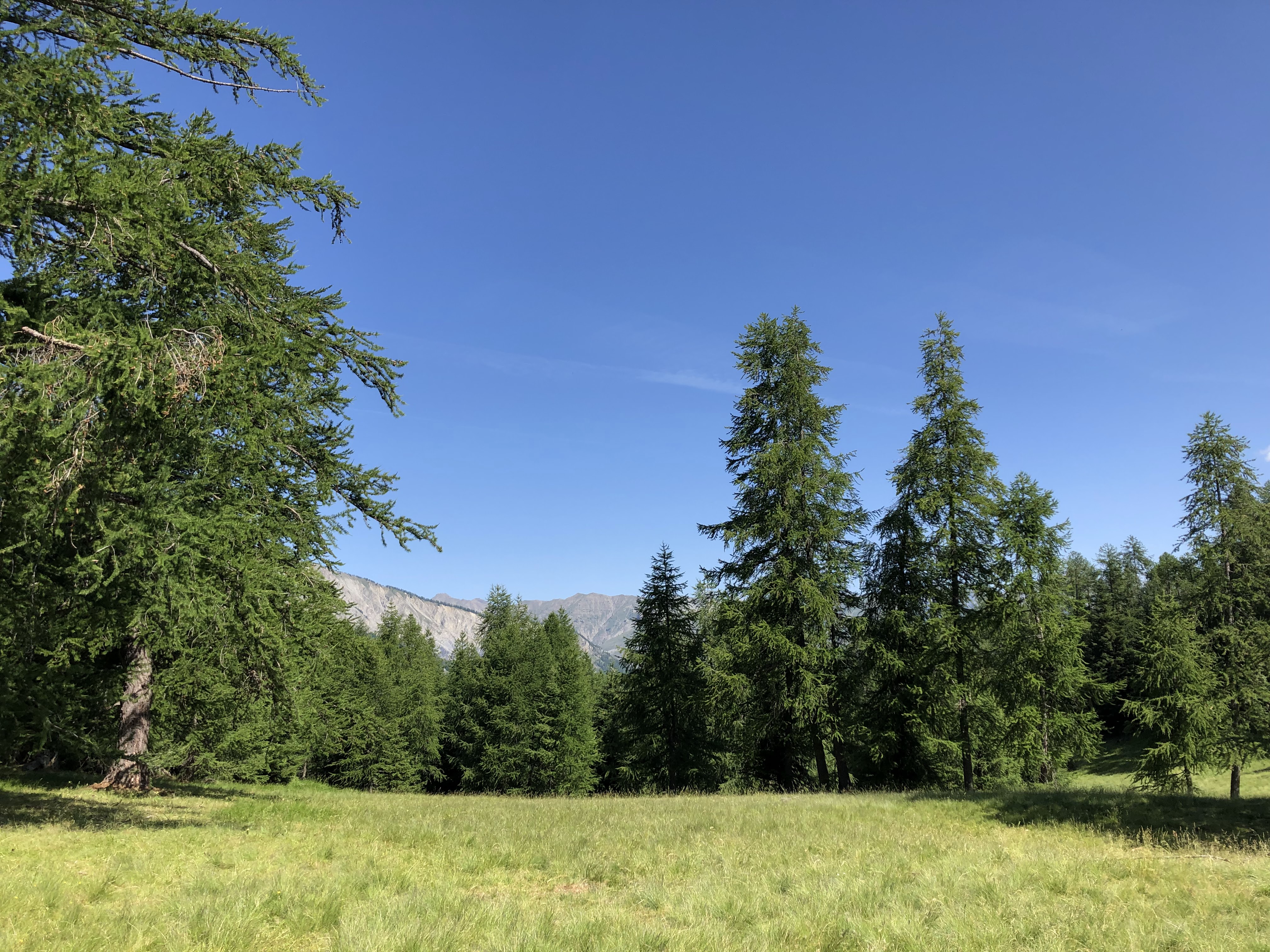 Photo n° 3 de l'avis de Laurence.R fait le 04/07/2019 à 12:22