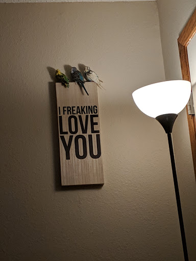 Pet Supply Store «Petco Animal Supplies», reviews and photos, 525 S 5th St, Bismarck, ND 58504, USA