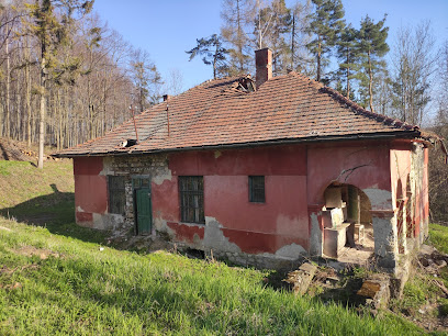 Romos ház az erdőben