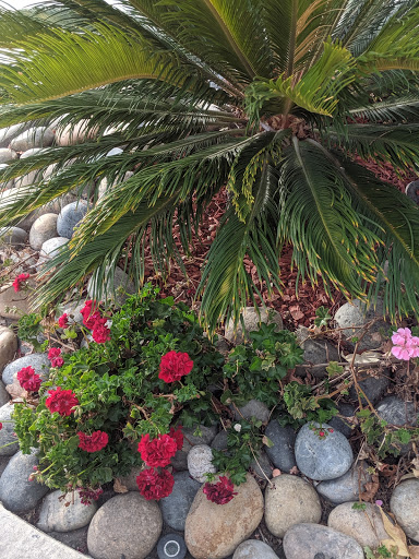 Drug Store «Walgreens», reviews and photos, 2600 Mowry Ave, Fremont, CA 94538, USA