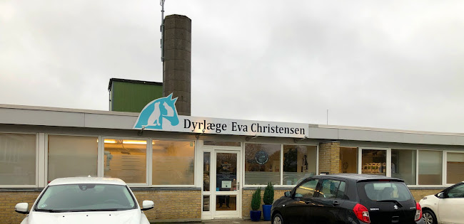 Anmeldelser af Dyrlæge Eva Christensen i Esbjerg - Dyrlæge