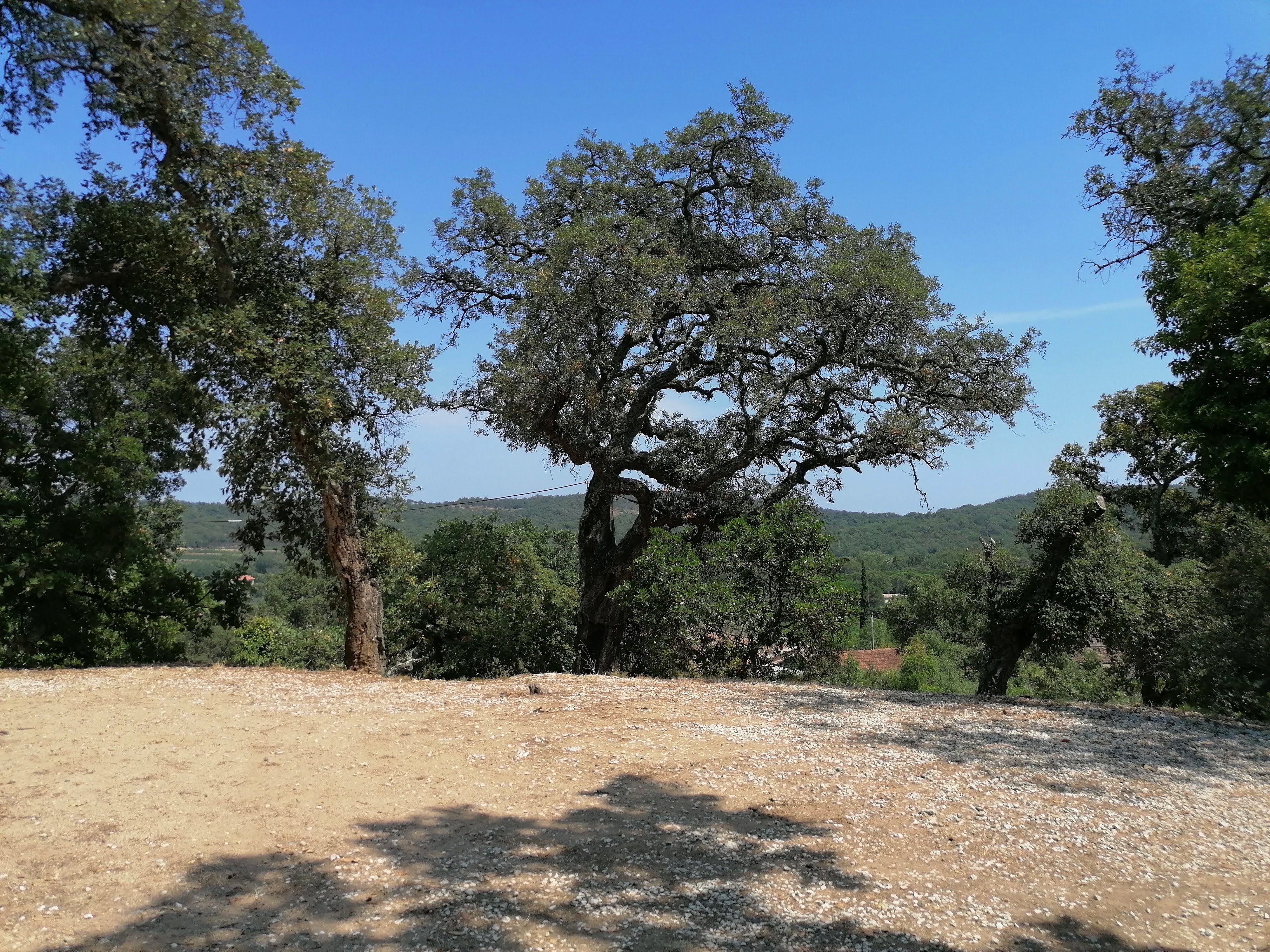 Photo n° 3 de l'avis de Willo.a fait le 31/07/2022 à 13:42