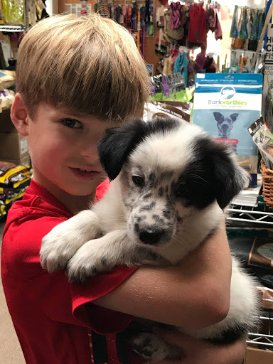 Pet Store «Naturally Healthy Pet», reviews and photos, 335 NE 5th Ave, Camas, WA 98607, USA